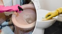 Чистый унитаз без ежедневной уборки: секрет гостиничных горничных