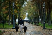 Погода в Украине готовит сюрприз: о чем предупредили синоптики