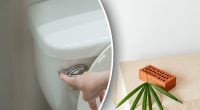 Зачем клали кирпич в бачок унитаза: старый секрет экономии