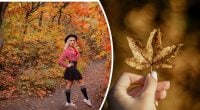 Гороскоп на неделю со 2 по 8 ноября: Скорпионам — прорыв, Ракам — любовь