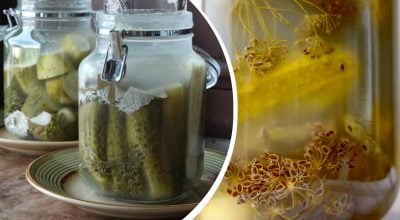 Розсіл помутнів, а огірки вкрилися білим нальотом: чи варто їсти таку закрутку