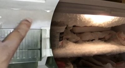 Холодильник перестанет обледеневать: поможет простое кухонное средство