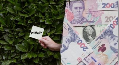 Для чого купюру кладуть у лавровий лист Для чого купюру кладуть у лавровий лист