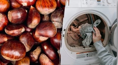 Каштаны в стиральной машинке Каштаны в стиральной машинке