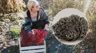 Садівників закликають розкласти на вулиці щітки для миття посуду: у чому причина