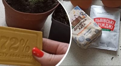 Народные средства для огорода: что работает, а что вредит растениям