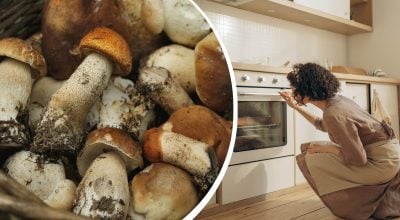 Грибы не потеряют вкус и аромат: секретный трюк во время сушки в духовке