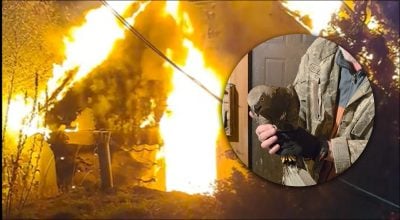 Росія знищила центр порятунку птахів під Києвом: загинули птахи та кіт