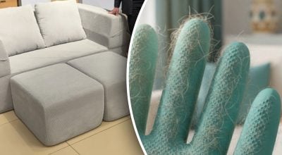 Як швидко почистити диван від шерсті: експерт порадив найлегший спосіб