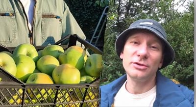 Щоб навесні сад не хворів — виконують одну обов'язкову процедуру восени