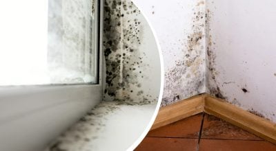 Цвіль більше не зіпсує стіни та вікна: що потрібно терміново змінити восени