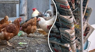 Незвичайне застосування старих газет у господарстві