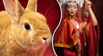 Какие перемены принесет эта неделя каждому знаку Какие перемены принесет эта неделя каждому знаку