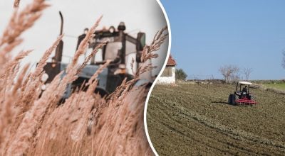 Заміна дорогим добривам: який сидерат варто посіяти до кінця жовтня