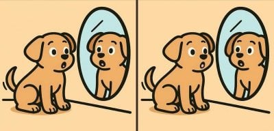 головоломка