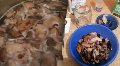 Универсальный маринад для грибов