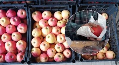 Експерти закликали загортати яблука в газету: у чому причина
