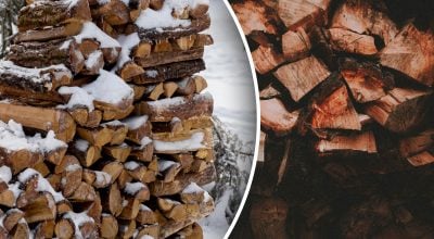 Бук чи сосна: які дрова краще обрати для каміна, щоб довше зберігати тепло