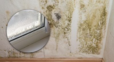 Как избежать плесени и сырости в доме: правила, которые многие игнорируют