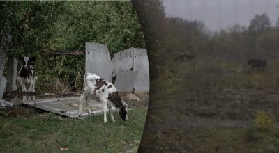 Чат села 