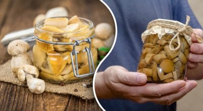 Маринованные грибы получатся хрустящими и ароматными: что добавить в банку