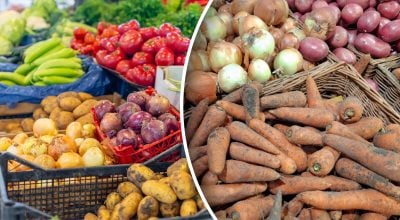 В Украине впервые с середины лета взлетели цены на лук: сколько стоит килограмм В Украине впервые с середины лета взлетели цены на лук: сколько стоит килограмм