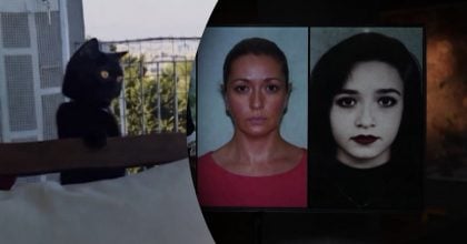 Российская шпионка годами шпионила за НАТО, но её выдала кошка — что произошло