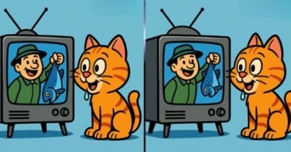 Тест на IQ: потрібно знайти 3 відмінності на картинці кота біля телевізора за 47 с