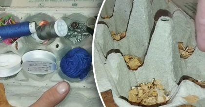 Навіщо люди збирають лотки для яєць - як їх повторно використати