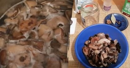 Універсальний маринад для грибів на 1 л води: ідеальний рецепт на зиму