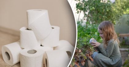 Використання втулок від туалетного паперу в жовтні: несподіваний трюк