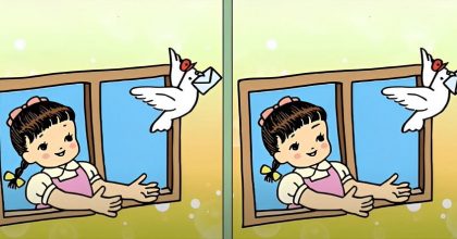 Тест на IQ: потрібно знайти 3 відмінності на картинці дівчинки з голубом за 65 с