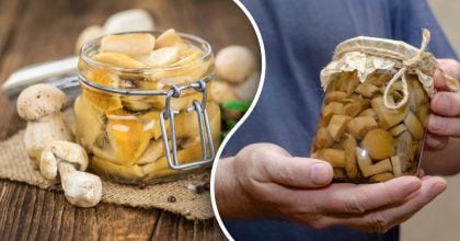 Мариновані гриби вийдуть хрусткими й ароматними: що додати в банку