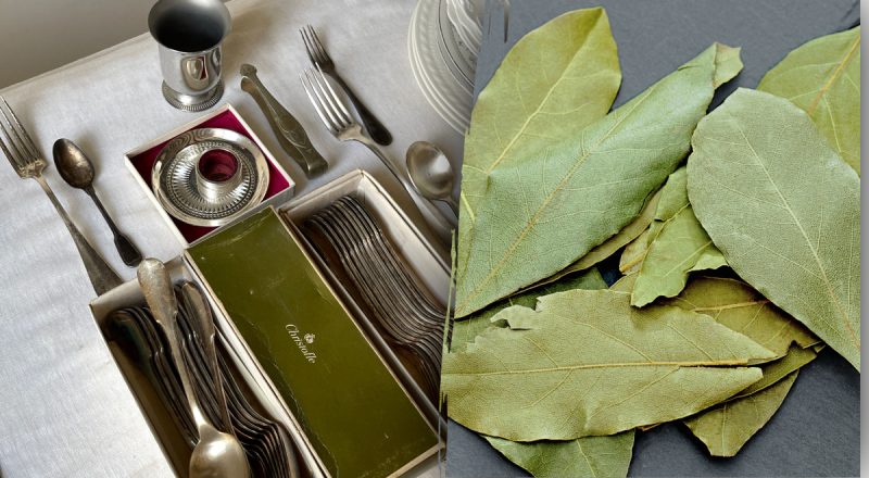 Зачем класть лавровый лист в кухонные ящики: какую проблему решает трюк