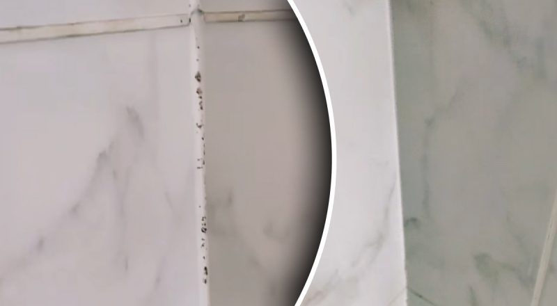 Черная плесень на швах плитки в душе исчезнет за одну ночь – что нужно сделать