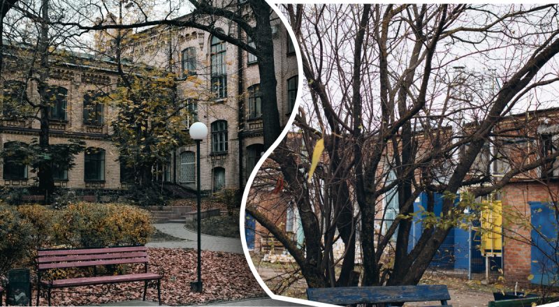 Куди зникають лавочки від під’їздів: основні причини та нові норми