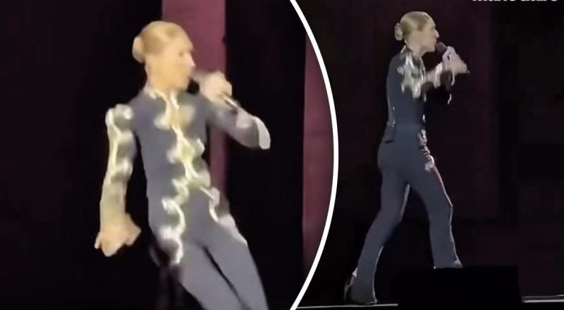 Селин Дион упала во время концерта: что случилось